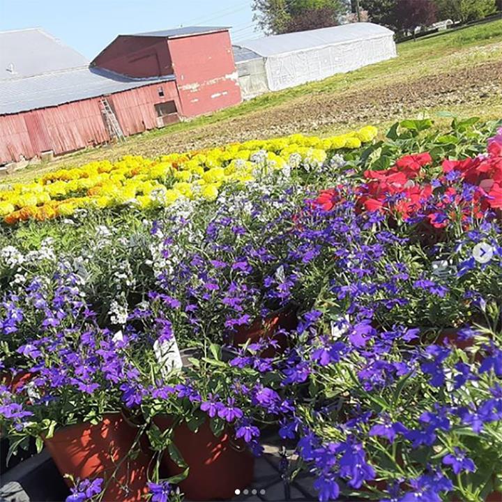 Huyck Farms Paducah, KY