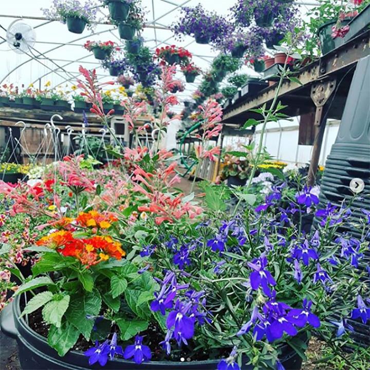 Huyck Farms Paducah, KY